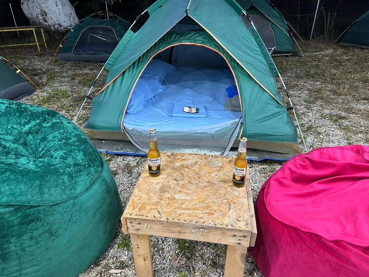 Ivy Sol Camping Borş